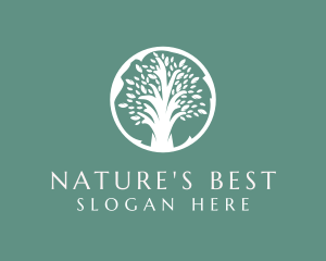 Natural Eco Tree  logo design