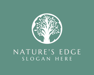 Natural Eco Tree  logo design