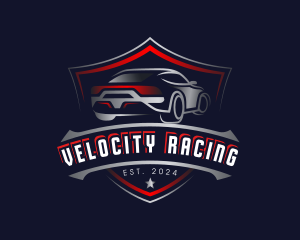 Detailing Motorsport Garage logo