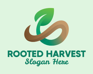 Natural Vine Plant logo design