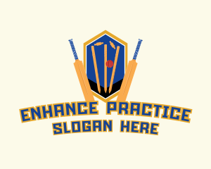 Cricket Sports Training logo design