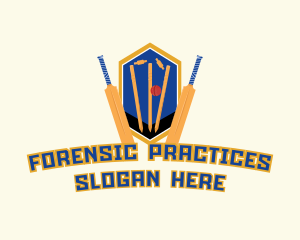 Cricket Sports Training logo