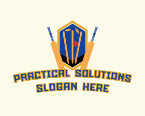 Cricket Sports Training logo design