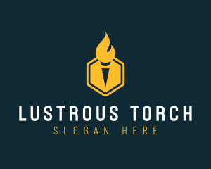 Hexagon Academic Torch logo design