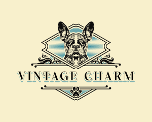 Vintage French Bulldog logo design