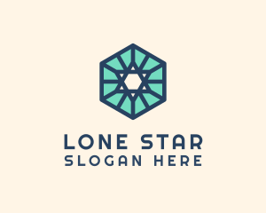 Simple Hexagon Star logo design