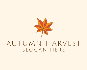 Maple Autumn Season logo design