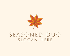 Maple Autumn Season logo design