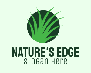 Eco Lawn Grass logo design