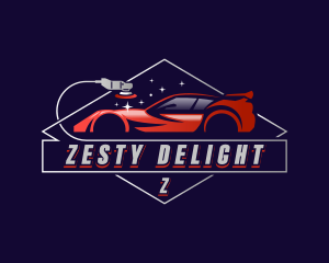 Car Detailing Polish logo design