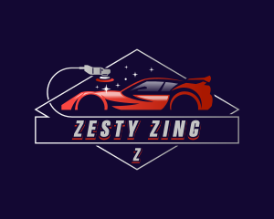 Car Detailing Polish logo design