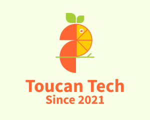 Orange Toucan Fruit  logo design