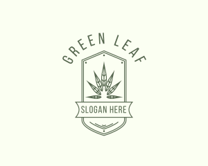 Marijuana Leaf Plant logo design