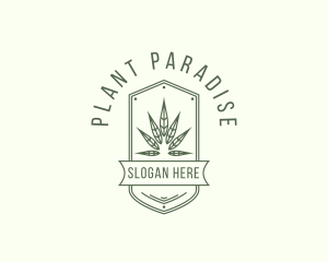 Marijuana Leaf Plant logo design