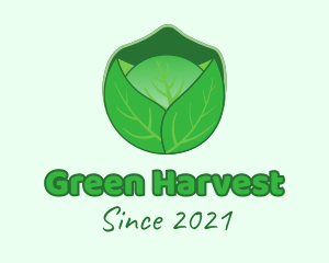 Green Cabbage  Vegetable logo design