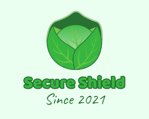 Green Cabbage  Vegetable logo