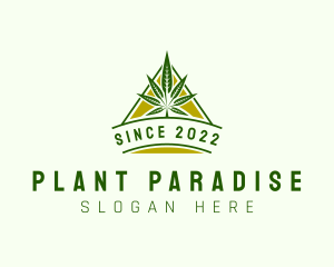 Marijuana Herb Plant logo design