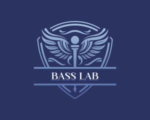 Medical Caduceus Shield logo design