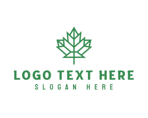 Geometric Maple Leaf logo