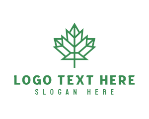 Geometric Maple Leaf logo