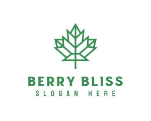 Geometric Maple Leaf logo design