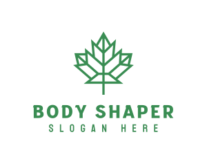 Geometric Maple Leaf logo design