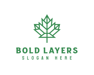 Geometric Maple Leaf logo design