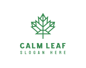 Geometric Maple Leaf logo design