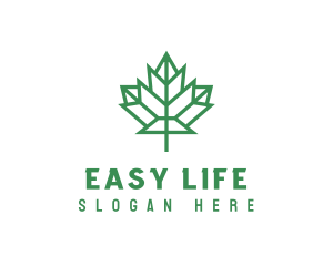 Geometric Maple Leaf logo design