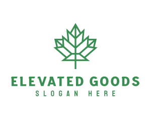 Geometric Maple Leaf logo design