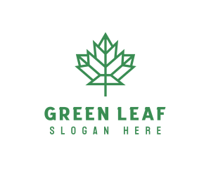 Geometric Maple Leaf logo design