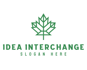 Geometric Maple Leaf logo design