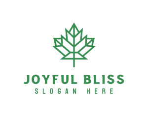 Geometric Maple Leaf logo design