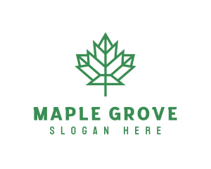 Geometric Maple Leaf logo design