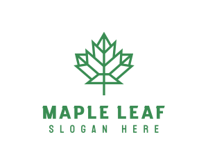 Geometric Maple Leaf logo design