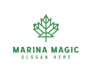 Geometric Maple Leaf logo design