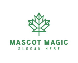 Geometric Maple Leaf logo design