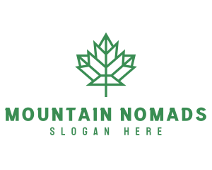 Geometric Maple Leaf logo design