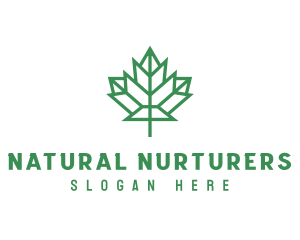 Geometric Maple Leaf logo design