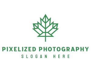 Geometric Maple Leaf logo design