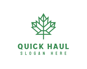 Geometric Maple Leaf logo design