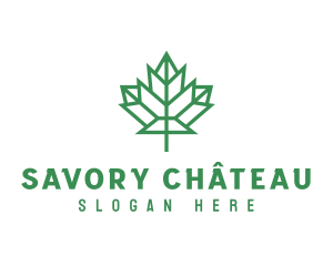 Geometric Maple Leaf logo design