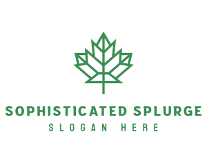 Geometric Maple Leaf logo design