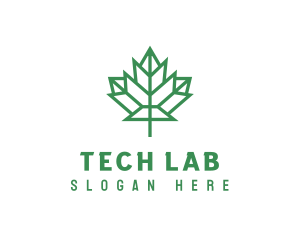 Geometric Maple Leaf logo design