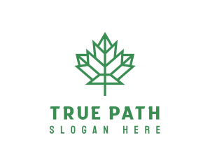 Geometric Maple Leaf logo design