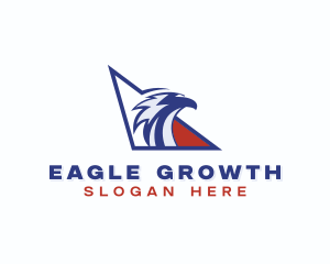 American Eagle Bird logo design