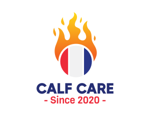 Flaming France Flag  logo design