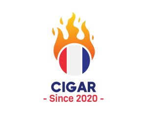 Flaming France Flag  logo design