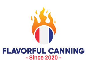 Flaming France Flag  logo design