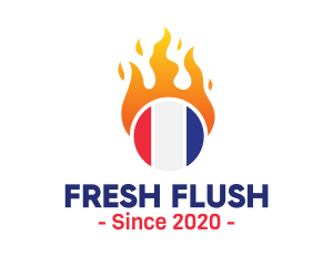 Flaming France Flag  logo design